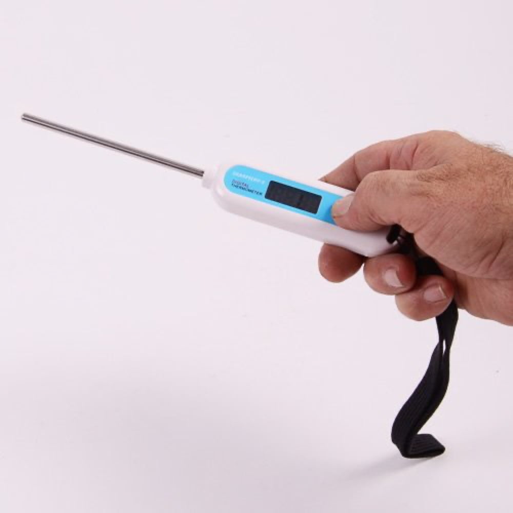 Digital rectal thermometer 4'' - SecRepro