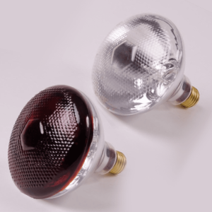 Heat Lamp Bulb SEC REPRO – 100W or 175W, Red or Clear